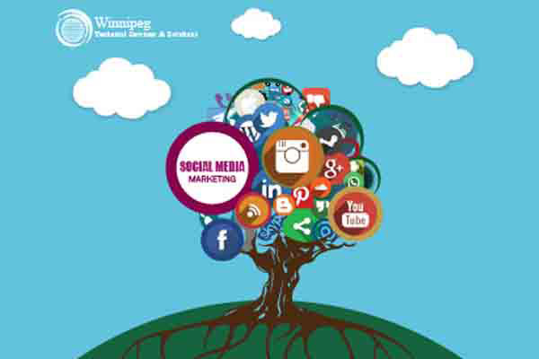 Social Media in winnipeg